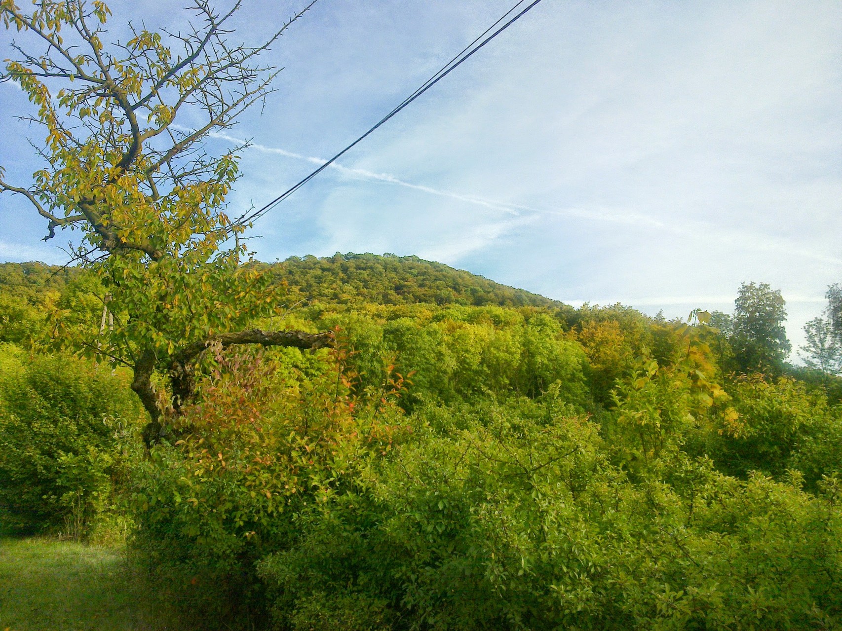 ~ Bild: Blick auf die "Hohe Tafel" (Tafelberg) vom Kirschweg bei Brüggen (Leine)