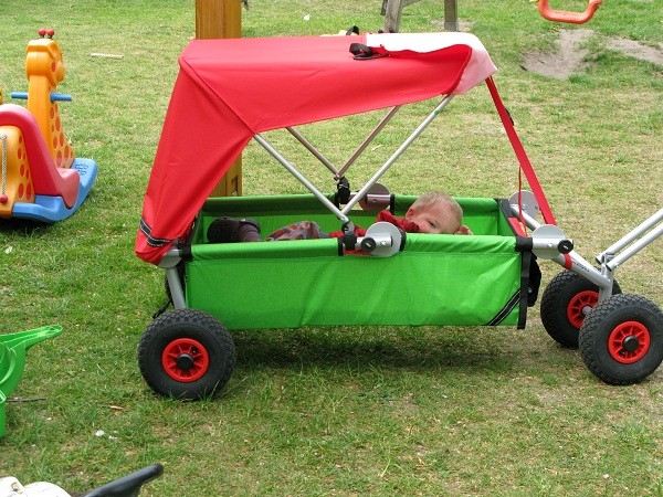 ulfBo auch für den Hund ulfBo faltbarer Bollerwagen