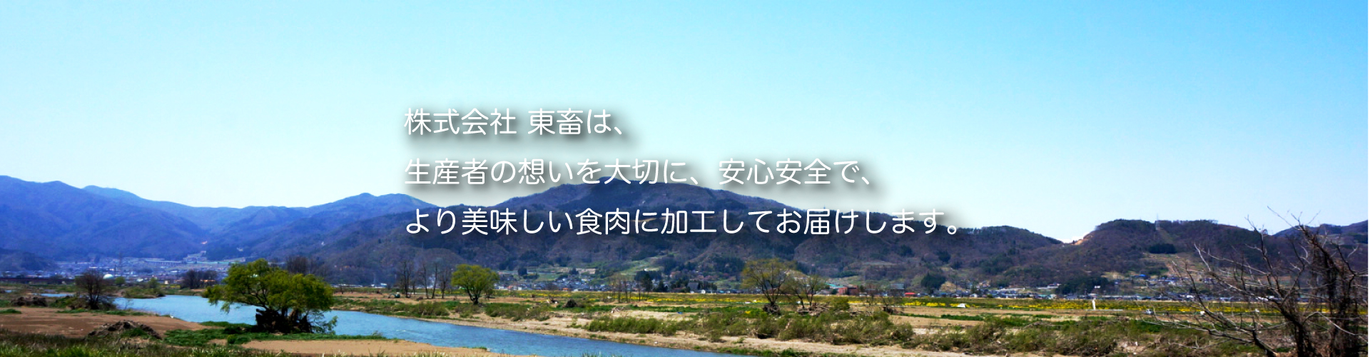 株式会社東畜