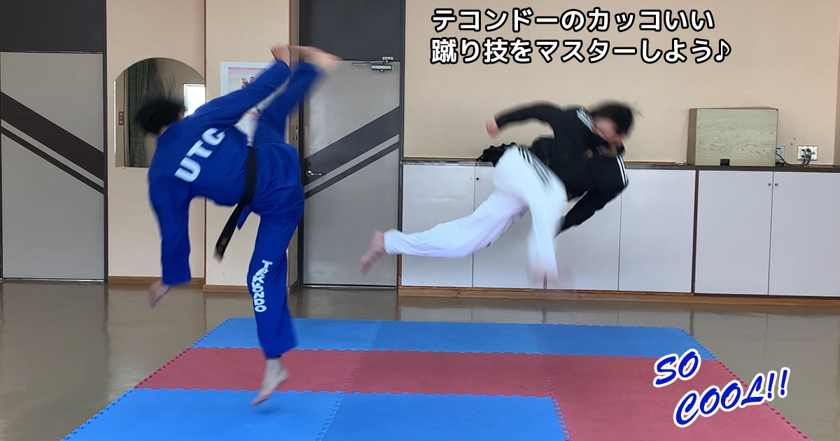 テコンドー教本　韓国語 テコンドーテキスト태권도 공인품새 해설 - メルカリ
