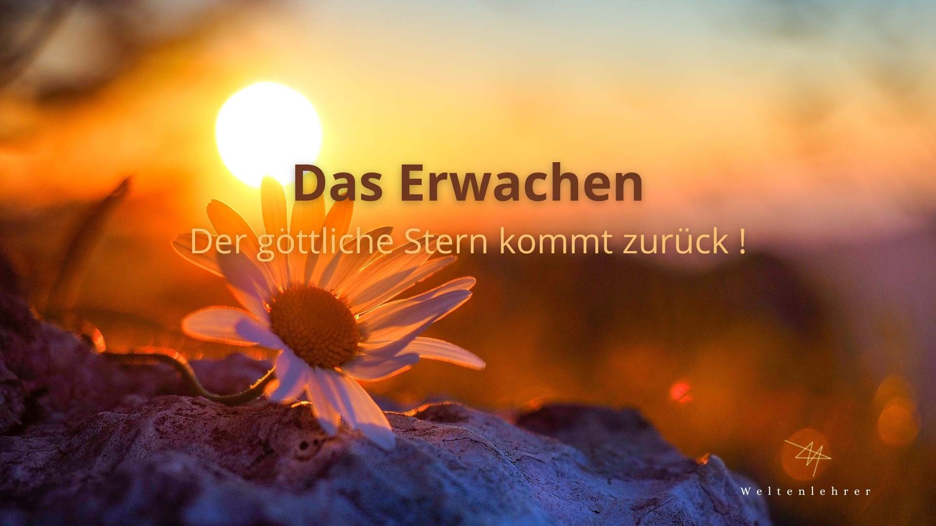 Das Erwachen