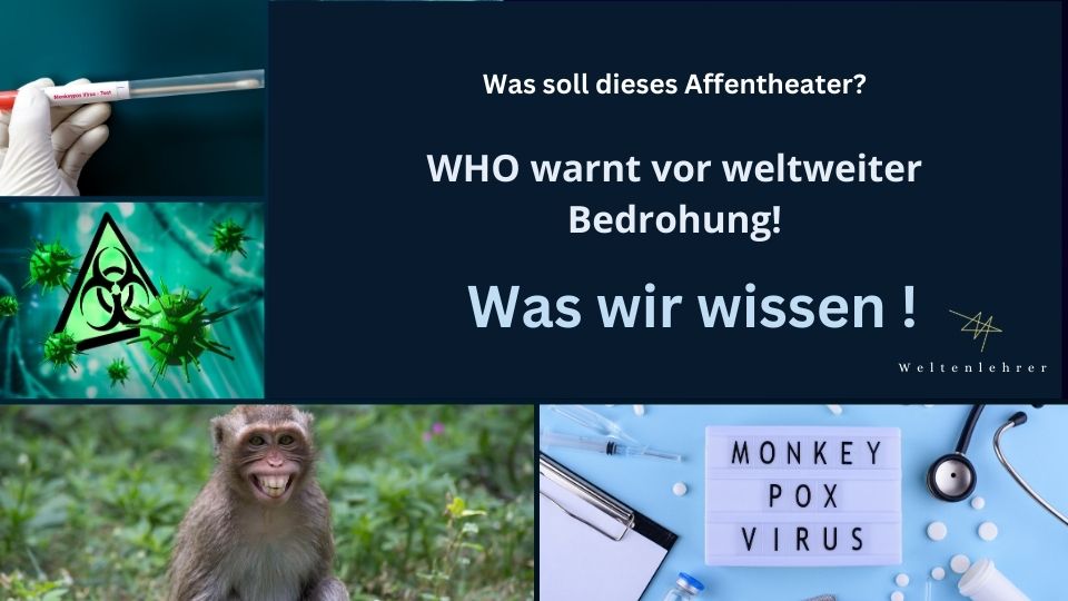 Was soll dieses Affentheater mit den Affenpocken? Was wir darüber wissen!
