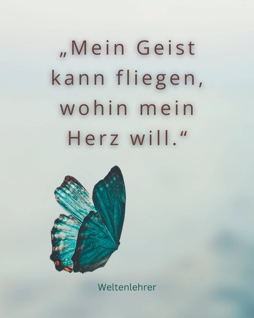 Flieg mit deinem Geist.
