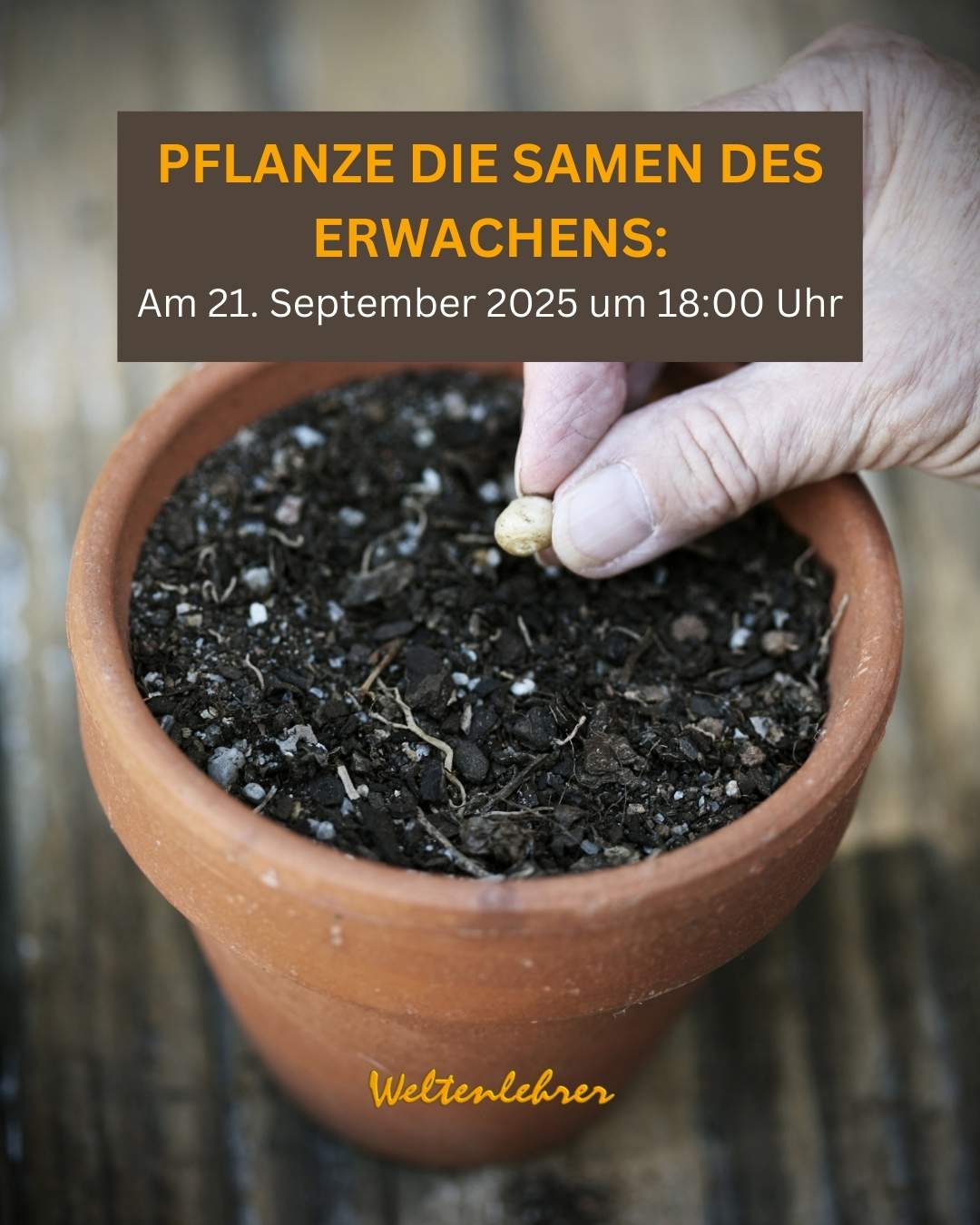 Pflanze die Samen des Erwachens – Community-Treffen am 21. September 2025