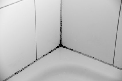 Silikonfugen entfernen in Erfurt? Diese Aufgabe sowie z.B. die gesamte Badsanierung übernimmt gerne das Team der Kultbau GmbH