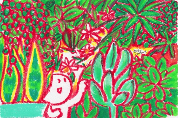 植物のイラスト　茶谷順子