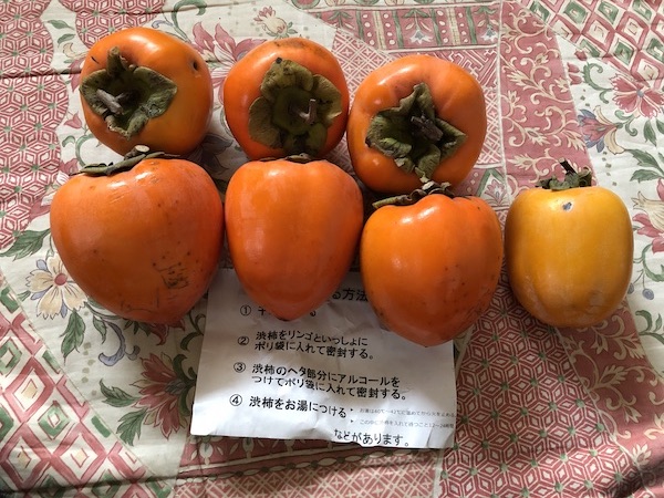 左 広州百目 右の小さめは西条柿
