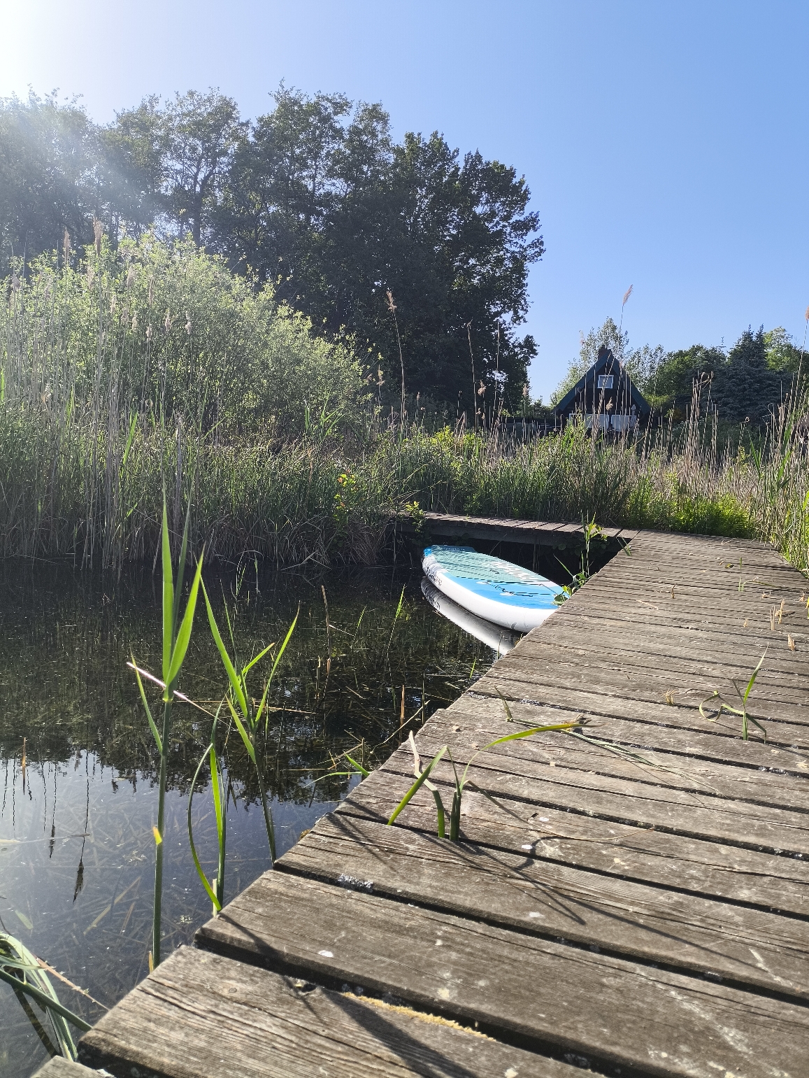 Bootssteg Richtung Ferienhaus 