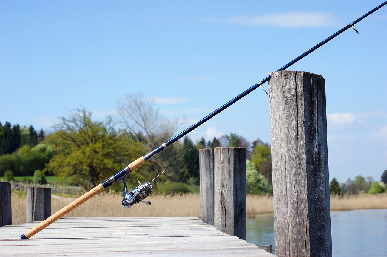 Ferienhaus mit eigenem Bootssteg - Angeln am Krakower See – Artenvielfalt für Angler in der Mecklenburgischen Seenplatte