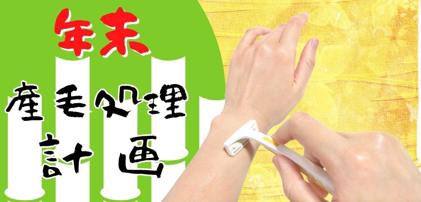 年内産毛処理計画