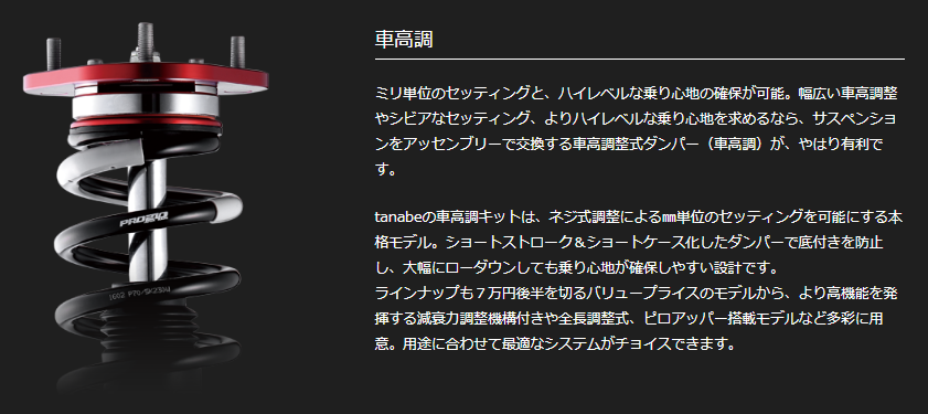tanabe - carpartskingdom ページ！