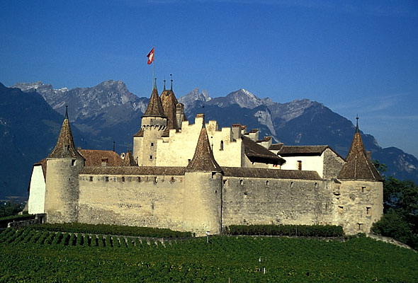 Chateau d'Aigle (visite ok)