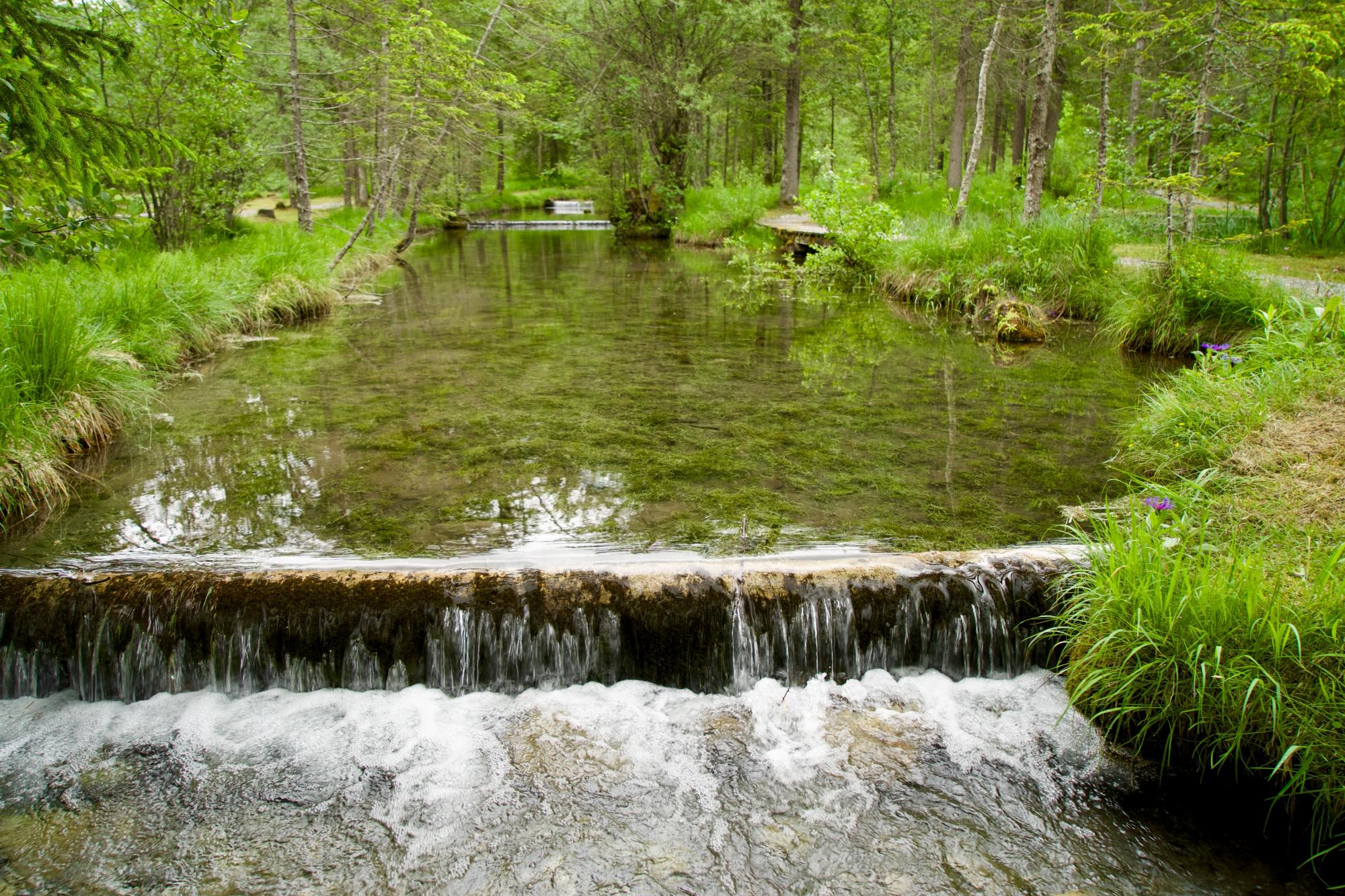 Domaine des Sources