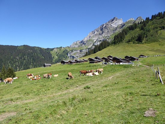 Refuge de taveyanne VD 1647m