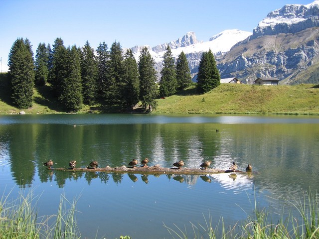 Lac retaud