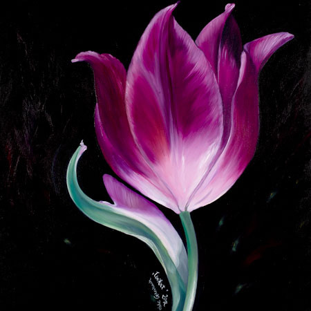 Tulpe, 2012, Öl auf Leinwand , 40*40 cm, Preis 180 € ohne Rahmung