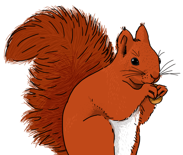 Illustratorin: NABU/Julia Friese
