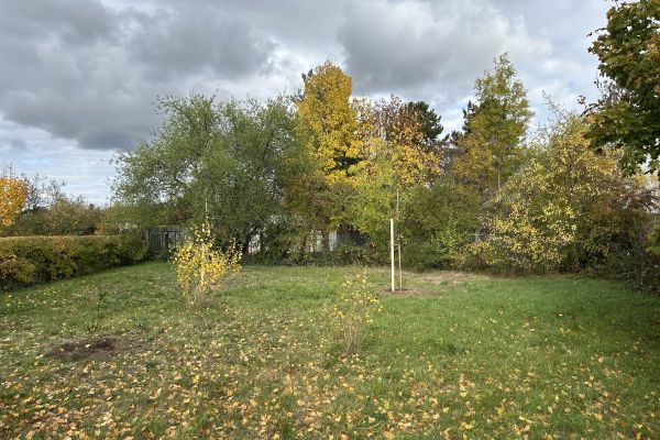 Foto: Matthias Moraweg/KGV Am Kanal