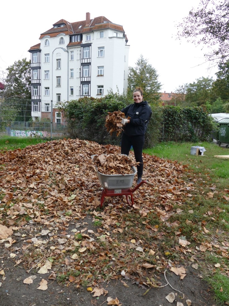 die den Boden vor Austrocknung schützt und