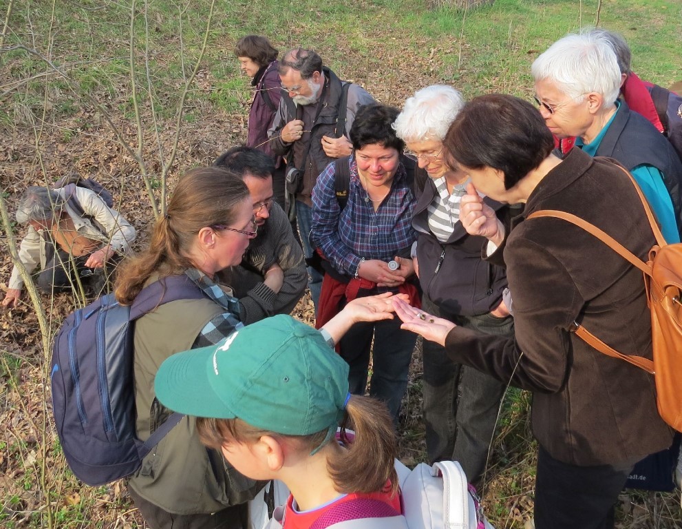 Zum Abschluss des Nachmittags führte die Biologin Katrin Schniebs eine Exkursion in die Auwaldnatur. Foto: Karsten Peterlein