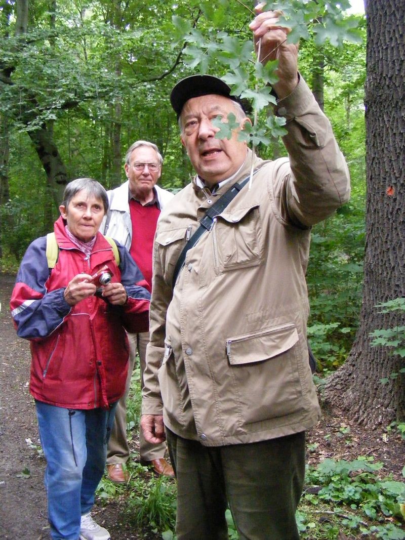 Dr. Gutte stellt die Pflanzen des Auwalds vor und hat zu vielen auch noch eine interessante Geschichte zu erzählen. Foto: Matthias Fitztke