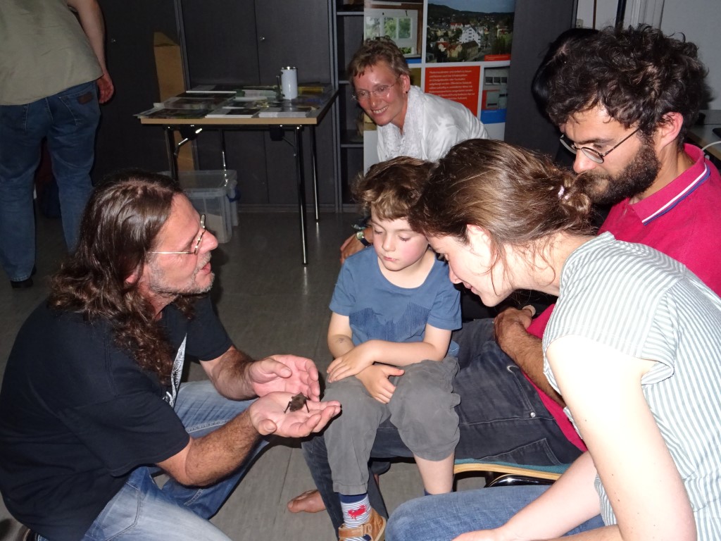 Andreas Woiton zeigte den Gästen im Naturkundemuseum Fledermäuse, die sich in Pflege befinden.</p> Foto: Carola Bodsch