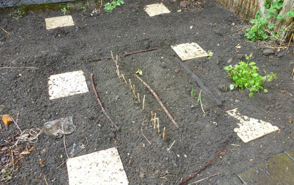 Auch der kleine Kräutergarten bekommt Struktur.