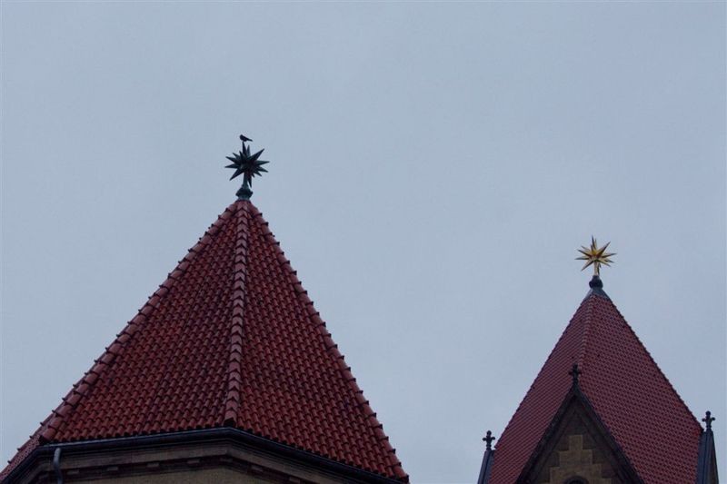 Ein Vogel auf dem Dach des Krematoriums - zur Artbestimmung war in vielen Fällen ein Fernglas nötig.