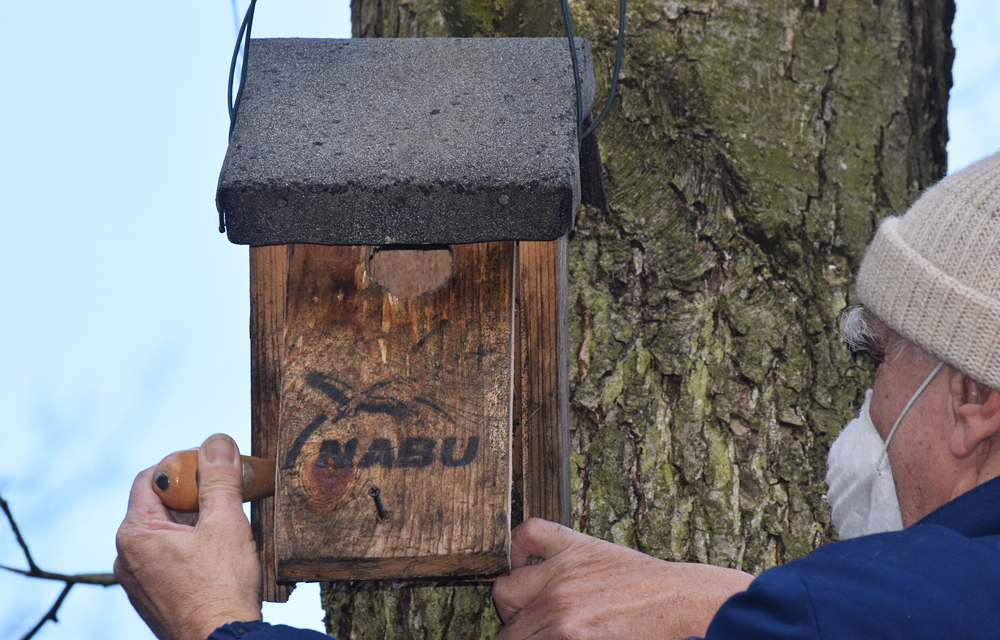 Spechte haben diesen Nistkasten so sehr bearbeitet, dass das Einflugloch zu groß wurde.