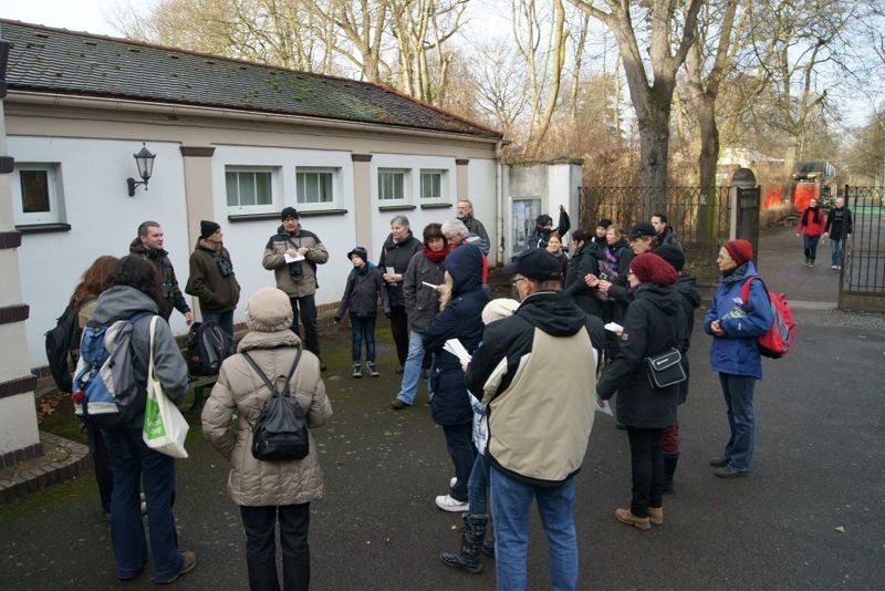 Stunde der Wintervögel auf dem Südfriedhof. Foto: René Sievert