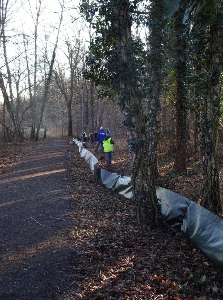 Zaunbau für die wandernden Amphibien.</p>Foto: Mario Vormbaum