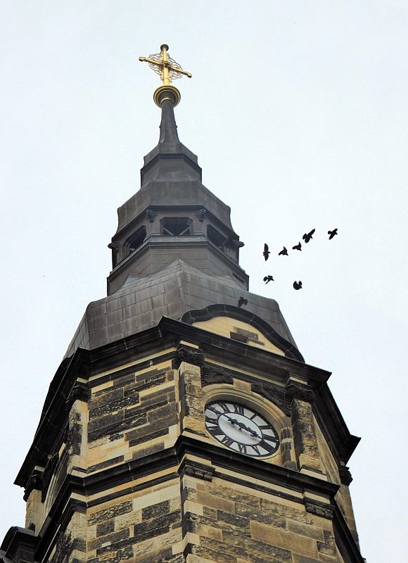 Acht Dohlen fliegen um den Kirchturm. Drei Paare haben ihren Brutplatz in Nistkästen über der Turmuhr.