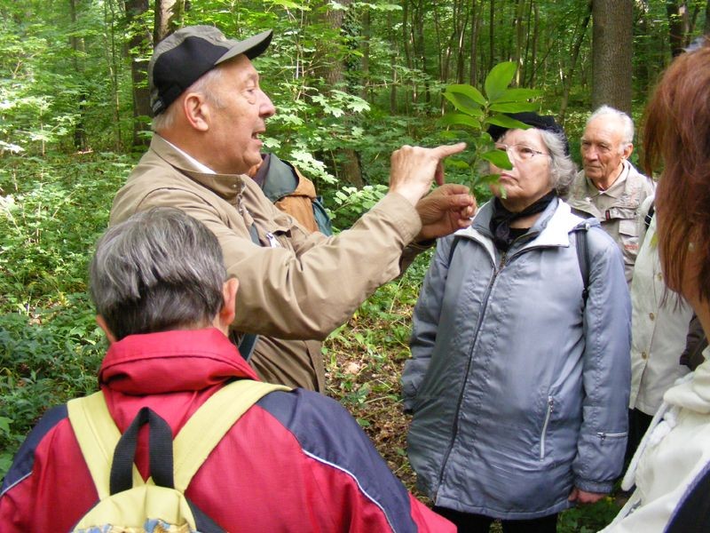 Dr. Gutte stellt bei der Exkursion durch den südlichen Auwald verschiedene Pflanzen vor. Foto: Matthias Fitztke