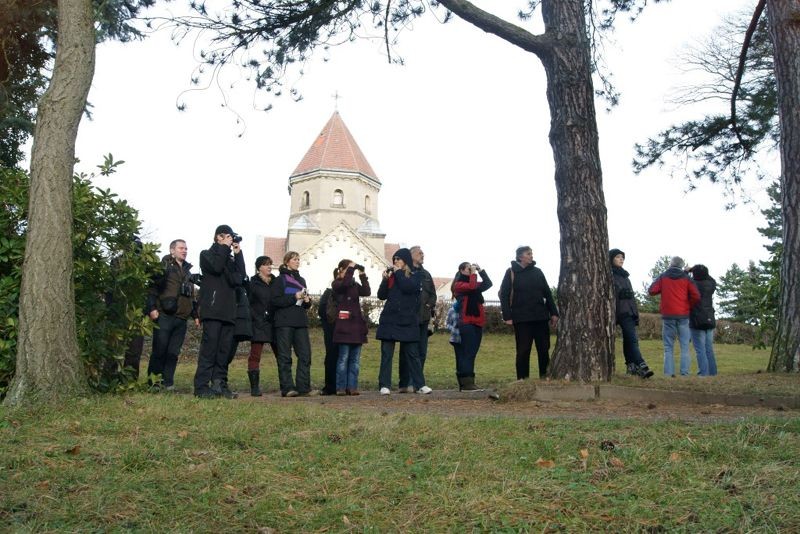 Auf dem Südfriedhof ist der NABU Leipzig ganzjährig aktiv, betreut zum Beispiel eine Vielzahl von Nistkästen. So befinden sich im Krematorium mehrere Bruthilfen für Dohlen bzw. für Turmfalken. Foto: René Sievert