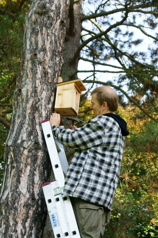 Alte, defekte Nistkästen wurden durch neue Exemplare ersetzt. An sonnigeren Standorten sollte man eher helle Häuschen verwenden, weil dunkle sich stärker aufheizen würden.