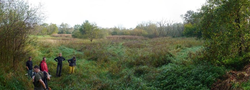 Einmal im Jahr wird die Wiese gemäht, die ein wertvoller Lebensraum für verschiedene Tier- und Pflanzenarten ist. So sah es vor dem Arbeitseinsatz aus.