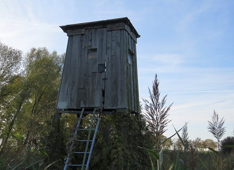 Der Schein trügt: Das ist nicht nur ein Wind- und wetterfester Hochsitz für den Jäger,...