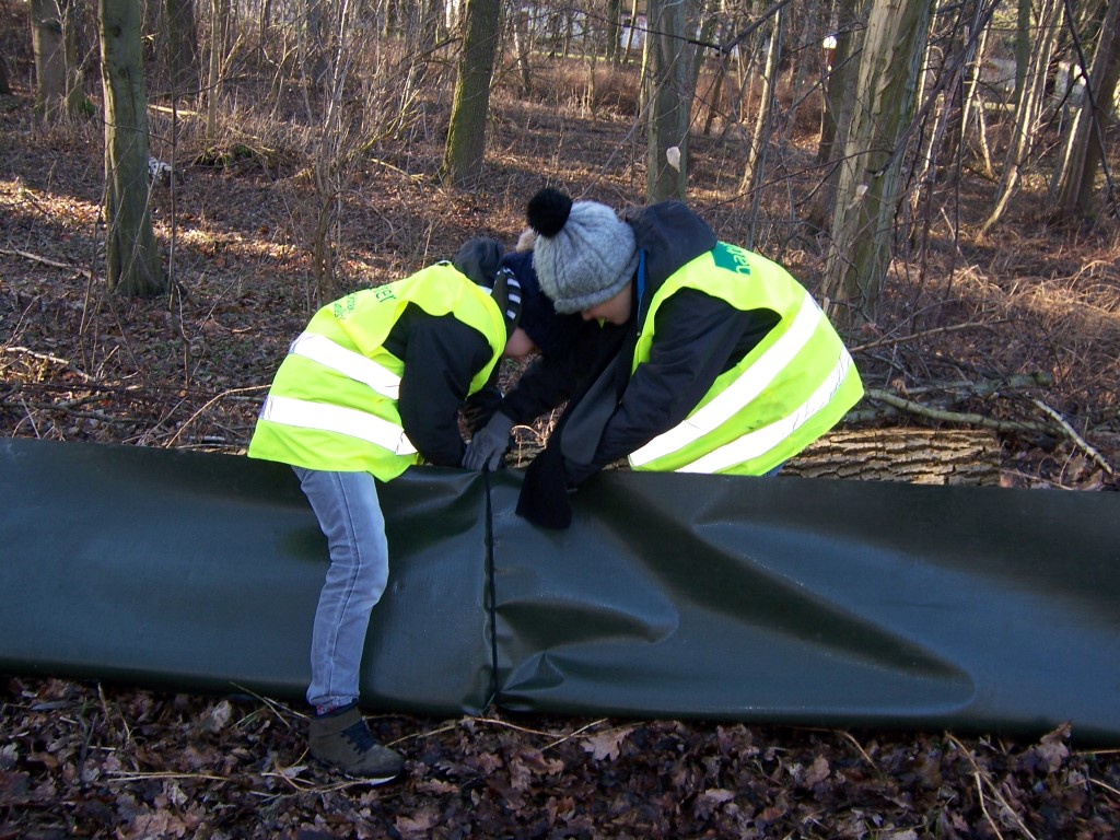 Auch die jungen Naturschützer haben kräftig geholfen.</p>Foto: Steffen Wagner