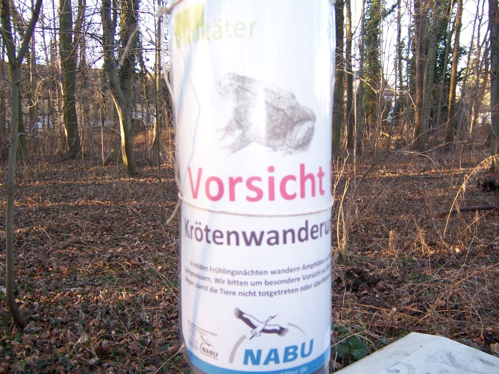Solche Warnschilder des NABU Leipzig hängen derzeit an verschiedenen Brennpunkten der Amphibienwanderung.</p>Foto: Steffen Wagner
