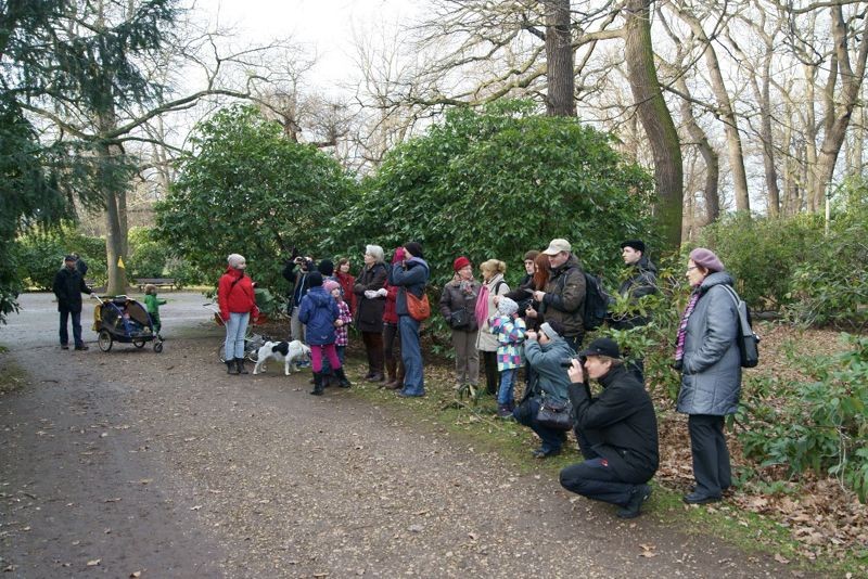 An diesem Vogelfutterplatz im Clarapark konnte man längere Zeit verweilen und dabei verschiedene Futtergäste wie Blaumeise, Kohlmeise und Kleiber beobachten. Foto: René Sievert