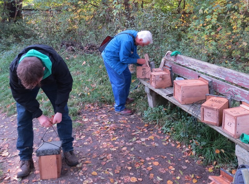 Am 16. Oktober 2013 wurden die neuen Bruthilfen im Zweinaundorfer Gutspark aufgehängt.</p>Foto: Karsten Peterlein 