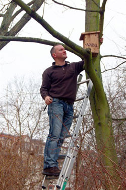 Einige der neugebauten Bruthilfen wurden gleich am NABU-Büro im Park an der Corinthstraße aufgehängt. Hier finden Vogelfreunde nun eine Freiluftausstellungen verschiedener Nistkastentypen und können sich beim NABU dazu beraten lassen. Foto: René Sievert 