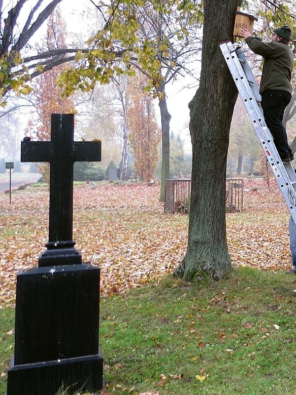 Die Ruhe auf dem Friedhof genießen, aber bald ist wieder etwas Gezwitscher erlaubt, wenn in den renovierten Vogelwohnungen die Brutsaison beginnt.</p>Foto: NABU Leipzig