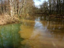 Mündung des Floßgrabens in die an Eisenhydroxid reiche Pleiße, 29.03.2006. Fotos: NABU Leipzig