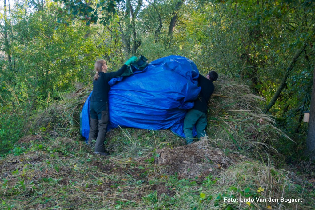 Und am Rand kompostiert.</p>Foto: Ludo Van den Bogaert