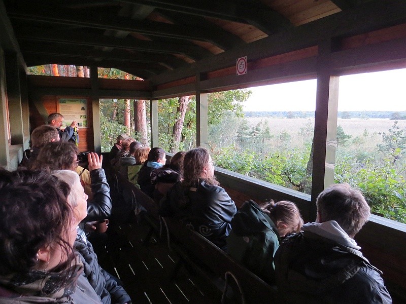 Sie landeten in der Nähe der Beobachtungshütte.</p>Foto: Karsten Peterlein