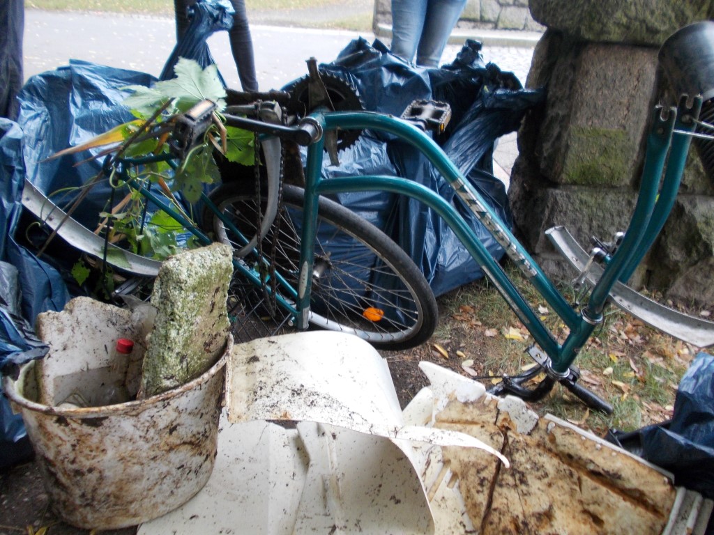 Sogar ein altes Fahrrad wurde aus dem Wasser gezogen.</p>Foto: René Sievert