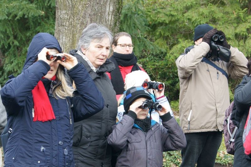 Große und kleine Vogelfreunde haben bei der NABU-Vogelführung viel zu entdecken. Foto: René Sievert