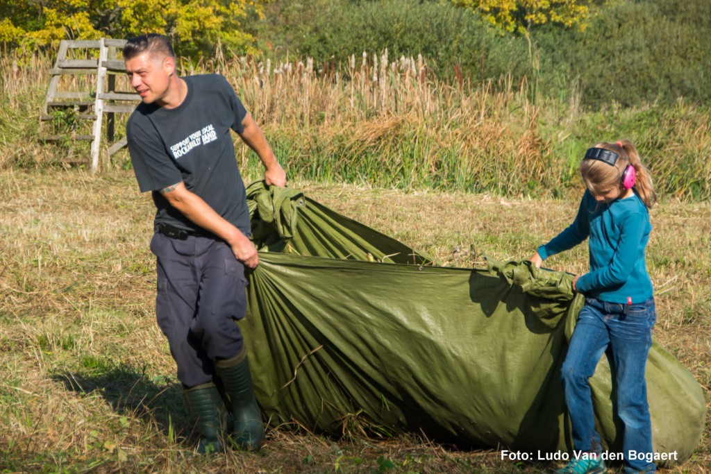 Dabei können auch die jüngsten Naturfreunde schon helfen.</p>Foto: Ludo Van den Bogaert