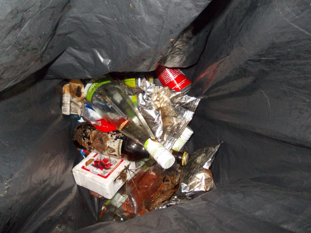 Müll jeder Art wurde am Ufer gefunden.</p>Foto: René Sievert